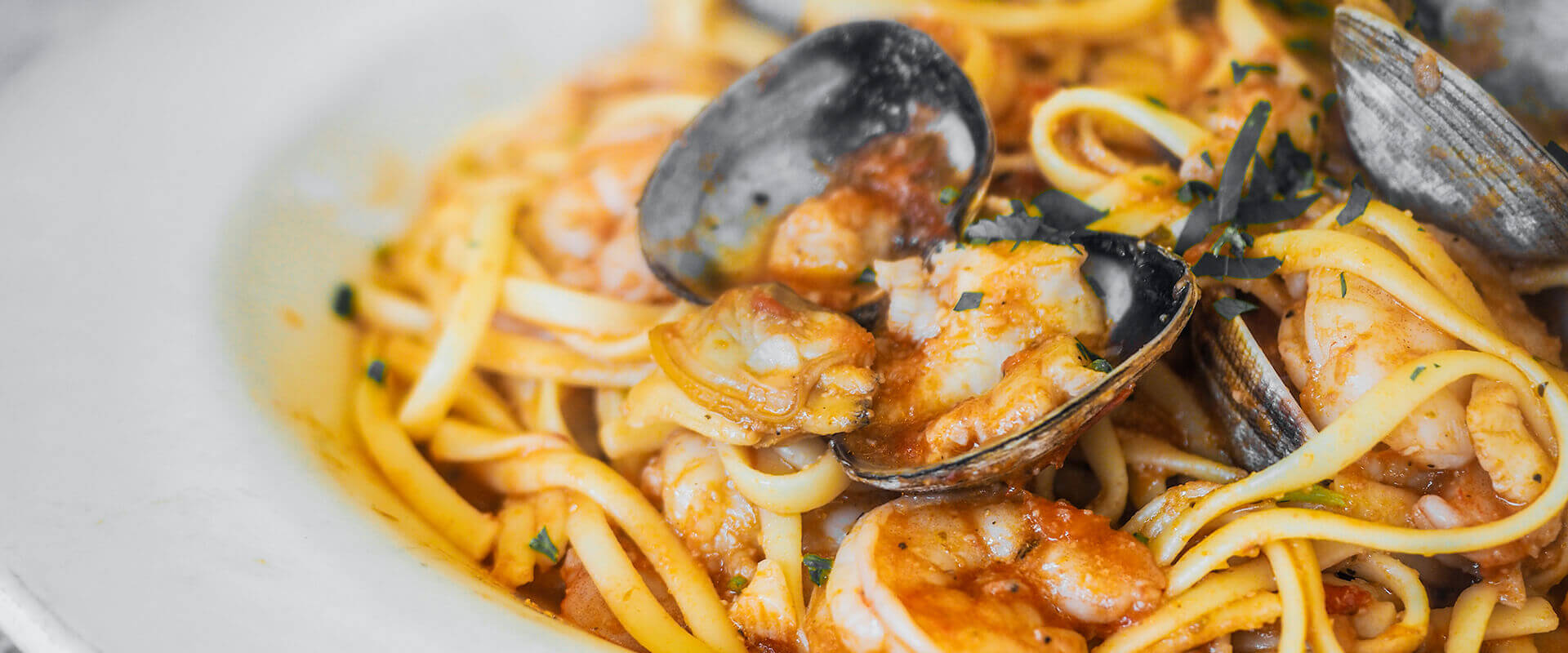 Cucina Cucina